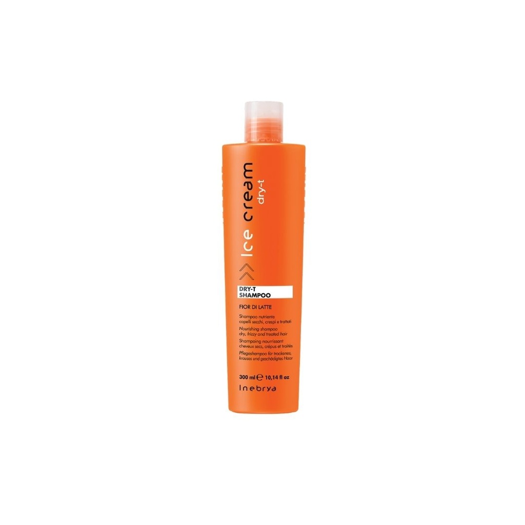 160823 INEBRYA DRY-T SHAMPOO 300ML