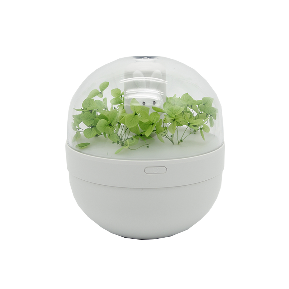 V3-SWEET RABBIT HUMIDIFIER VERDE