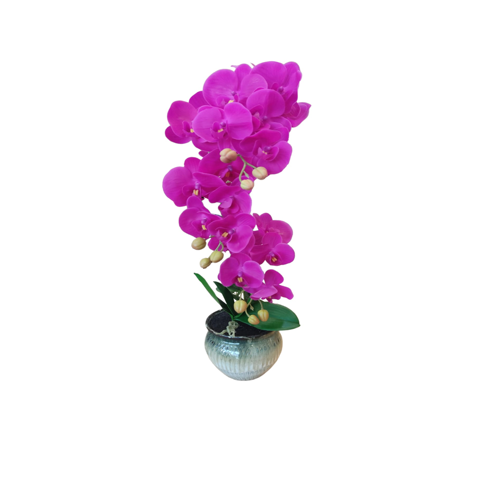 DECO ORQUIDEA FUCSIA CON FLORERO DEGRADADO