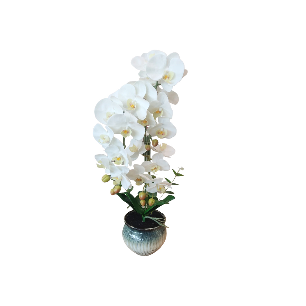 DECO ORQUIDEA BLANCA CON FLORERO DEGRADADO