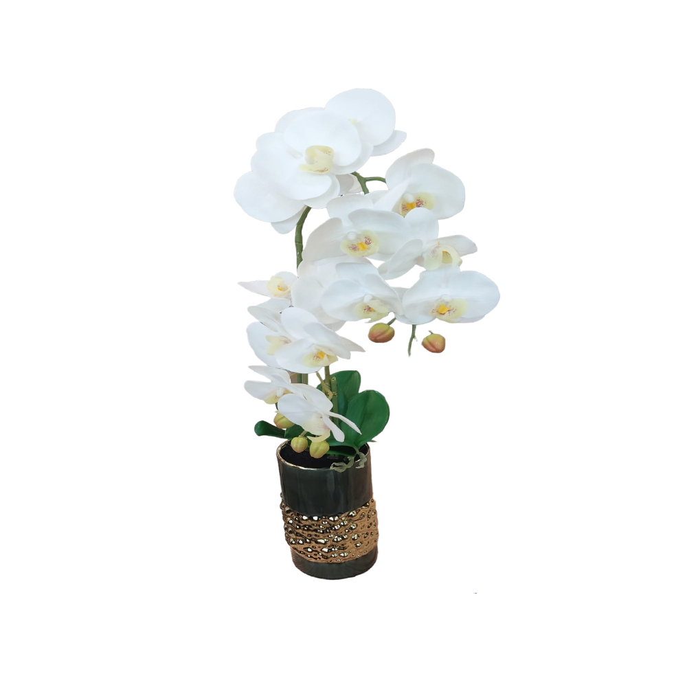 DECO ORQUIDEA BLANCA GRANDE CON FLORERO