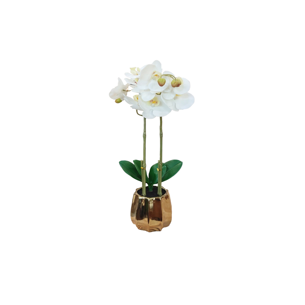 DECO ORQUIDEA GRANDE BLANCA CON FLORERO DORADO