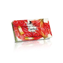 [45954] 193679 FLORINDA VEGETAL SOAP 100G CACTUS