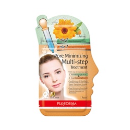 [017576] 588441 PORE MINIMIZING MLTI STEP TRATAMIENTO PURED