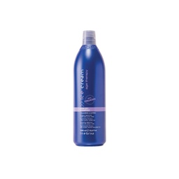 [33300] 168959 INEBRYA HAIR LIFT SHAMPOO 1000ML