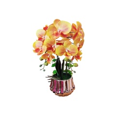 [38937] DECO ORQUIDEAS PHALAENOPSIS ORO / FLORERO ROSE G.