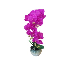 [38957] DECO ORQUIDEA FUCSIA CON FLORERO DEGRADADO