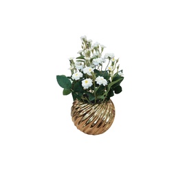 [38962] DECO MINI ROSAS BLANCAS  CON FLORERO DORADO 